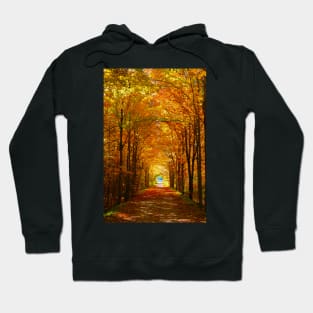 Autumn Light and Leaf Painting Hoodie